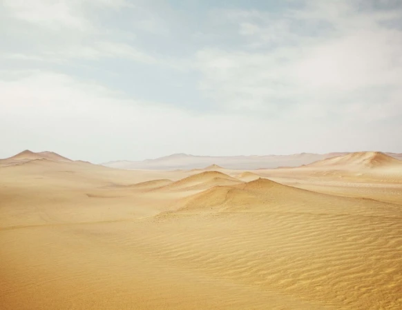 Sweeping desert landscape with sand dunes under a bright sky, showcasing the arid beauty and vastness of the natural environment.
