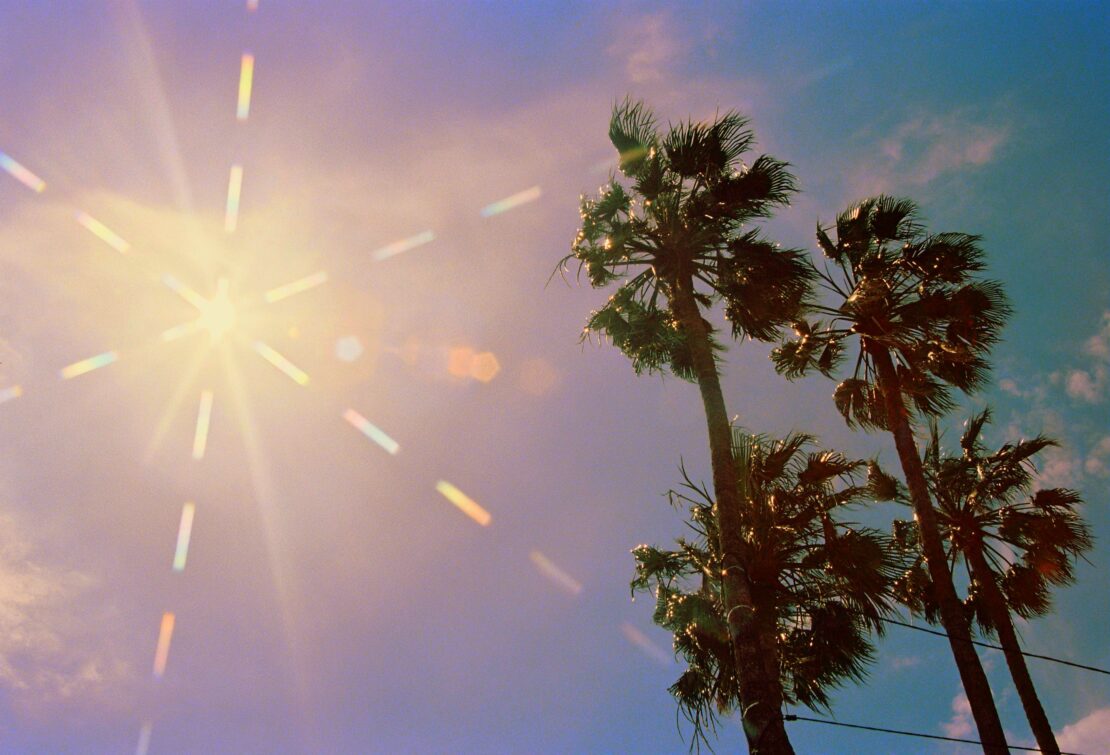 Three palm trees reach towards a bright sun and partly cloudy blue sky, creating a vibrant, tropical landscape scene.