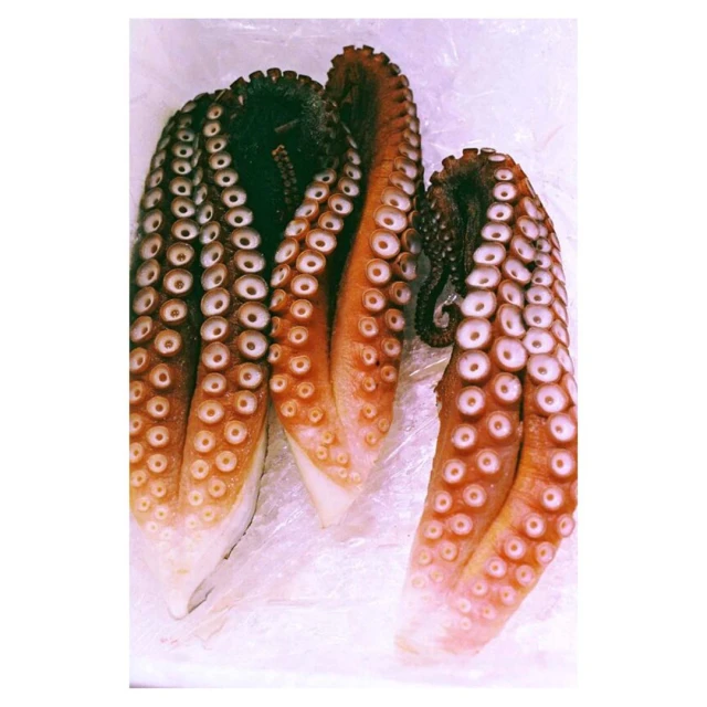 Close-up of cooked octopus tentacles displaying suckers and skin texture, set against a crinkled white background, food concept.