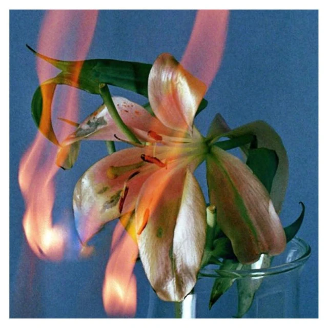 Close-up of a peach-colored lily in a clear glass vase with hints of fire reflecting on the petals against a light blue background.