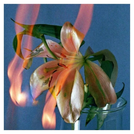 Close-up of a peach-colored lily in a clear glass vase with hints of fire reflecting on the petals against a light blue background.
