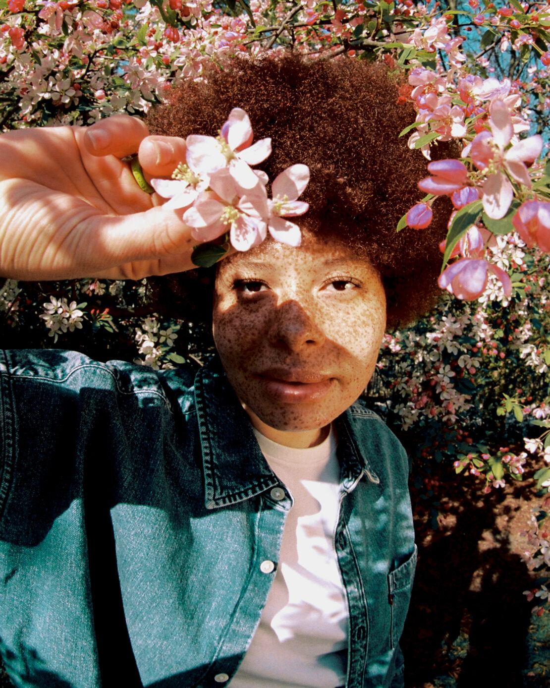 Close-up of a young woman with freckles and an afro, holding pale pink blossoms, surrounded by a vibrant flowering tree in dappled sunlight.