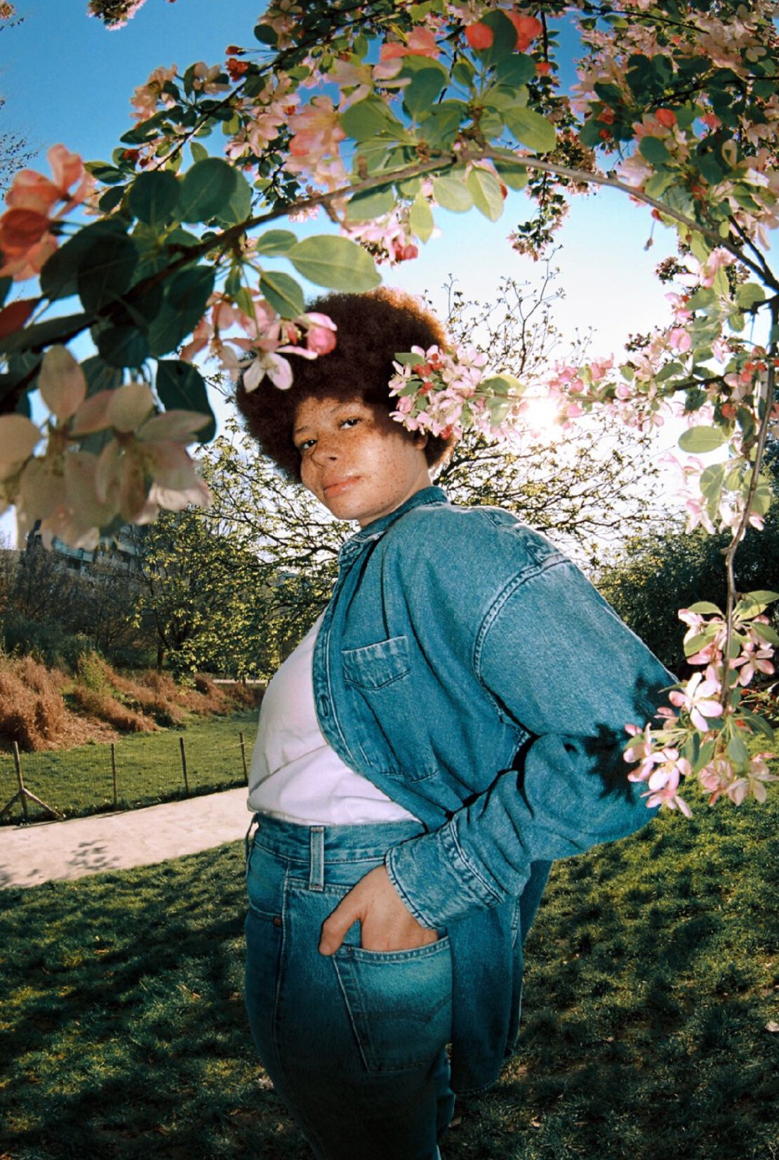 Woman with afro framed by pink blossoms in a garden setting, wearing a denim jacket and jeans, bathed in soft, natural light.