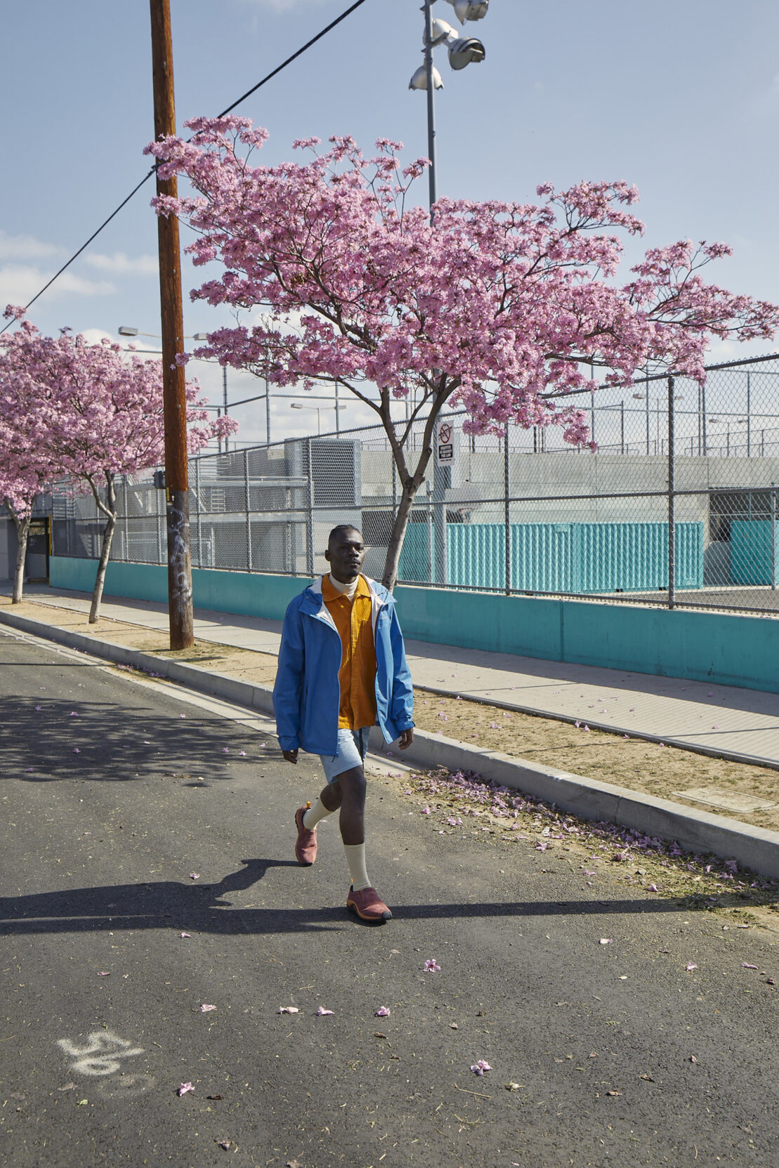 A stylish black man in blue jacket walks down a street lined with blossoming pink trees on a sunny day in an urban outdoor setting.