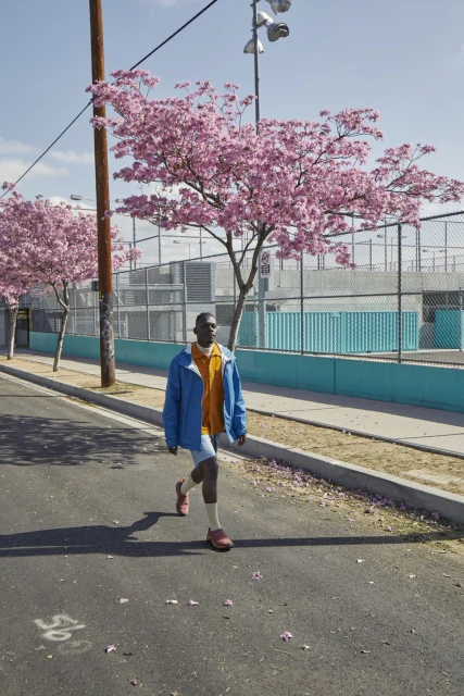 A stylish black man in blue jacket walks down a street lined with blossoming pink trees on a sunny day in an urban outdoor setting.