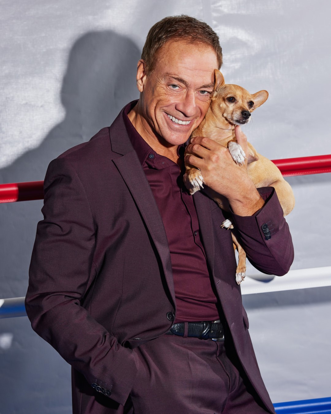 Jean-Claude Van Damme smiles while holding a tan chihuahua dog in a maroon suit in a studio setting with grey and red accents.