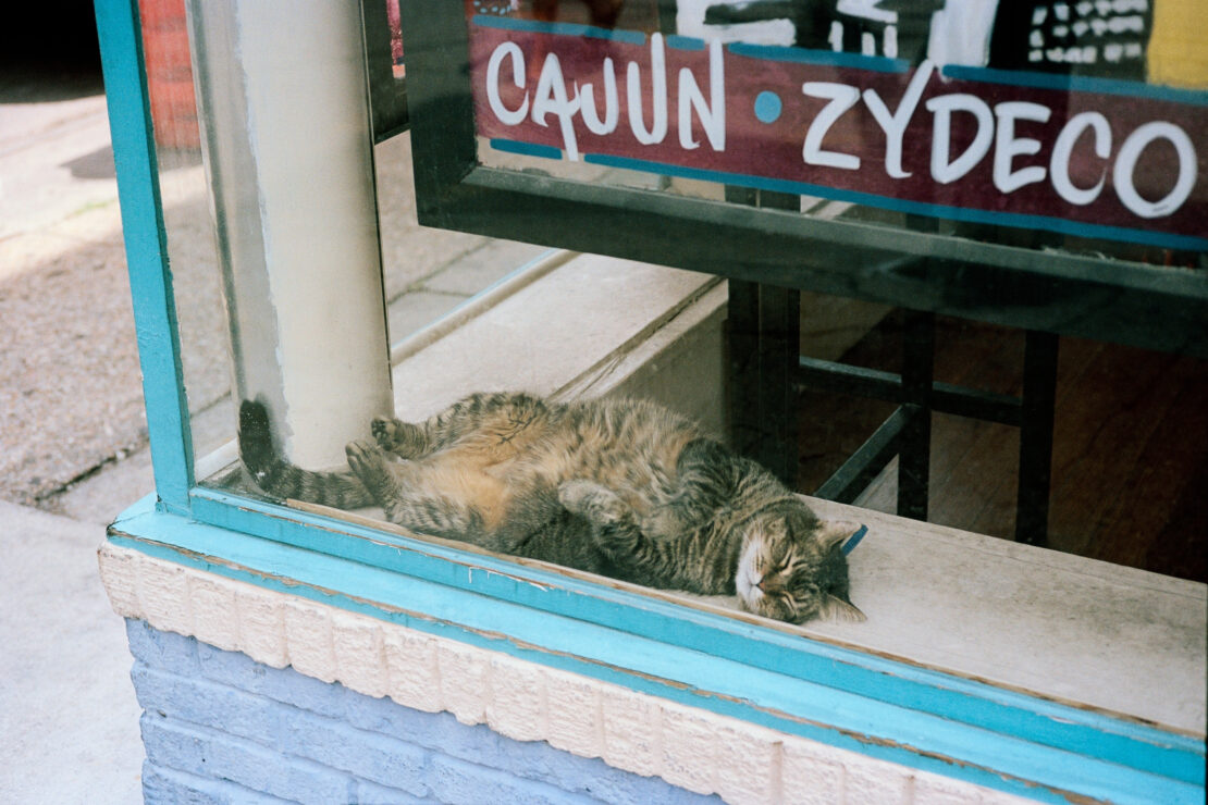 Tabby cat lounges in a window with 'Cajun Zydeco' signage, blending domestic comfort with a hint of New Orleans musical culture.