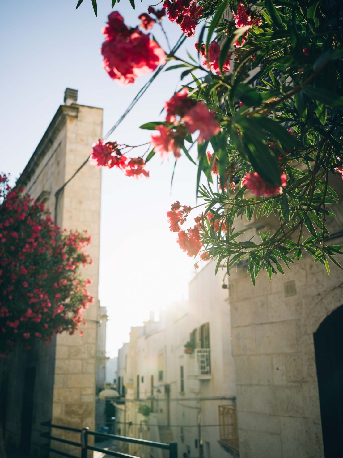 Narrow street in a European town with pink flowers climbing the walls of stone buildings and bright sunlight filtering through buildings.