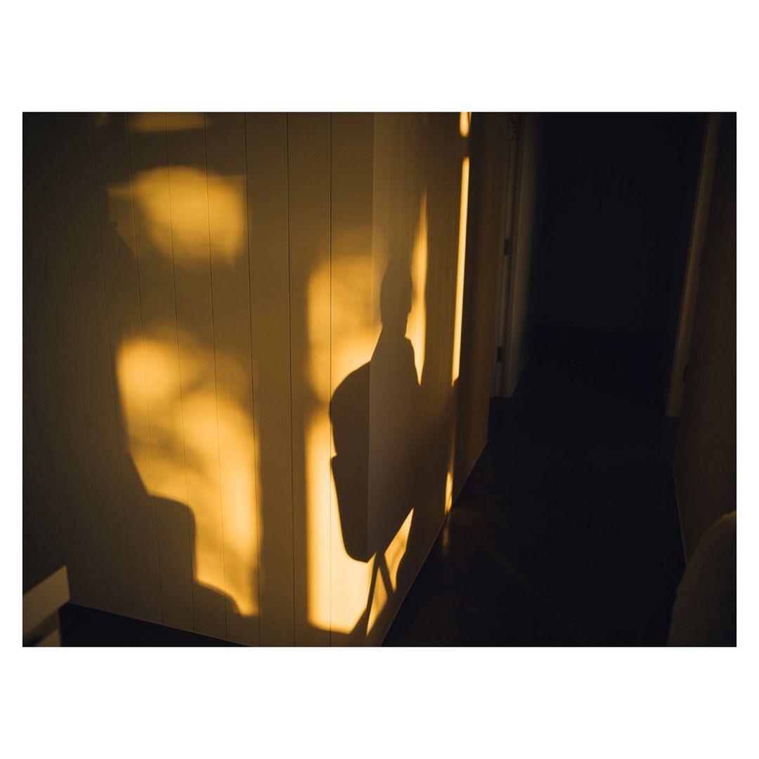 Shadow of a chair cast on a wall indoors, illuminated by warm, golden light streaming through an unseen window, creating a stark contrast.