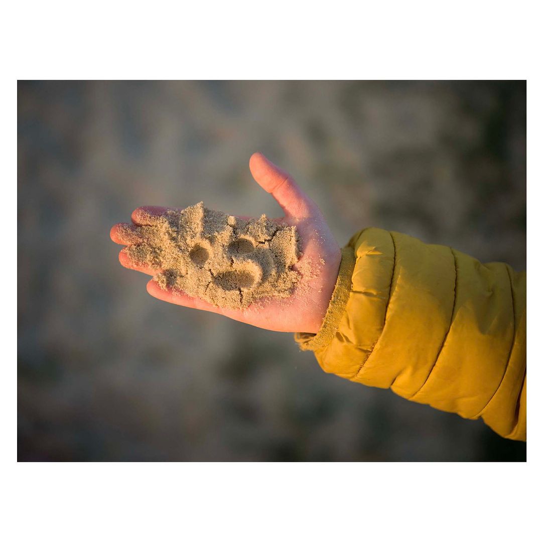 Child's hand holding sand with an impression of a paw print, lit by soft, diffused light against a blurred, neutral-toned background.
