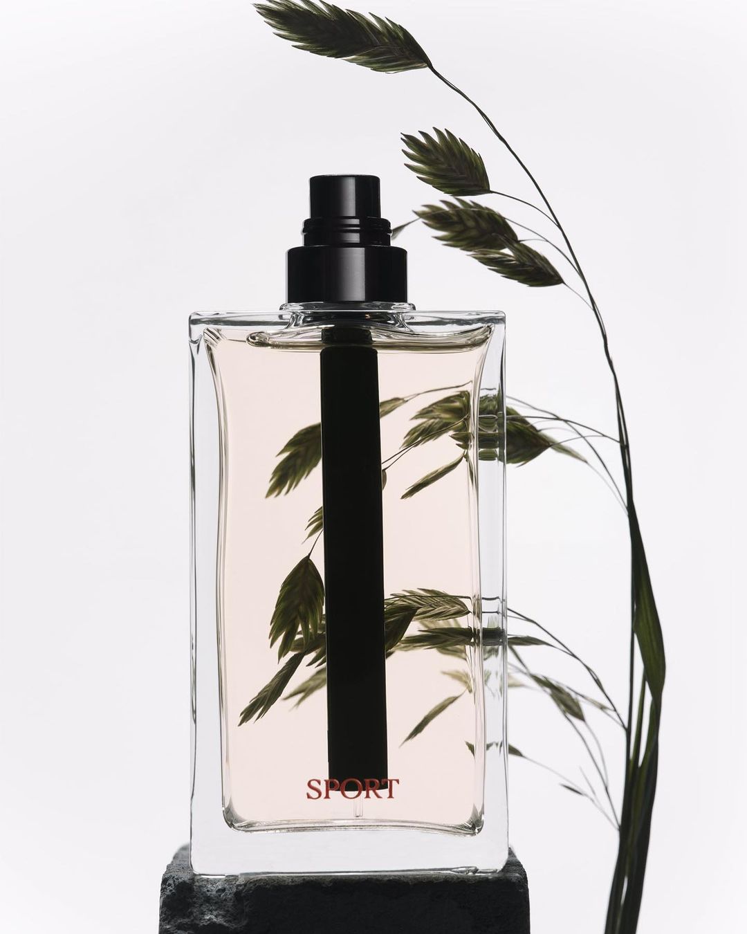 Still life of a perfume bottle with a black cap and dark stripe against a white background with a sprig of green leaves.