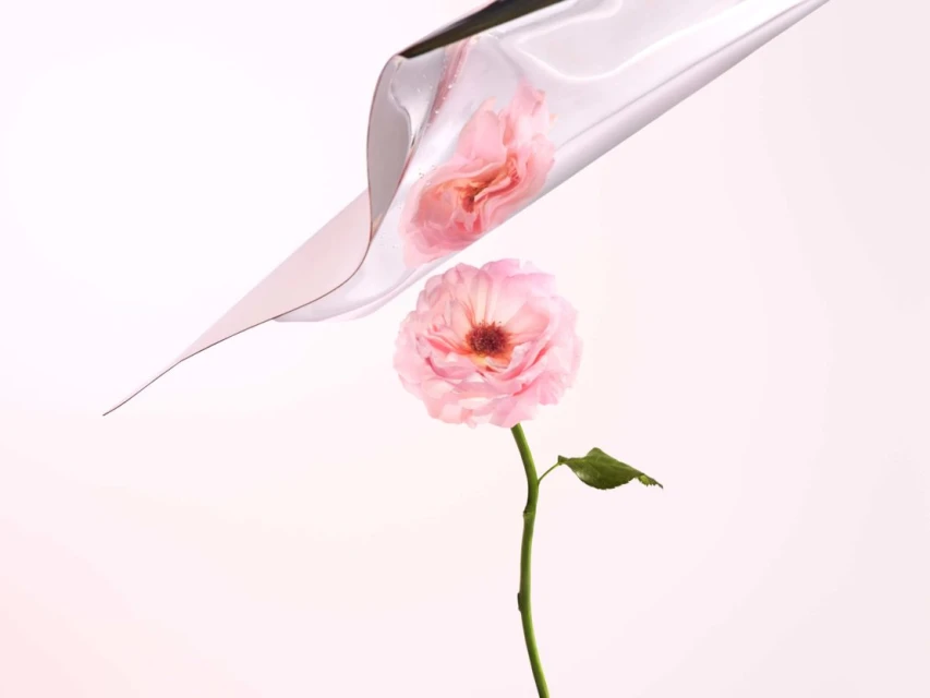 Elegant close-up of a pink rose with a long stem and single leaf displayed against a clear, folded sheet against a pale pink backdrop.