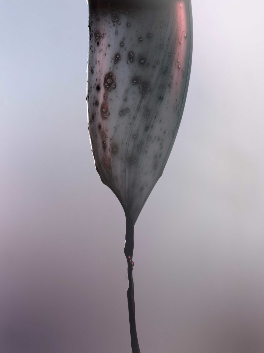 Artistic image of a gray, elongated form with dark spots, resembling liquid or melted wax, dripping from its end against a soft, blurry background.