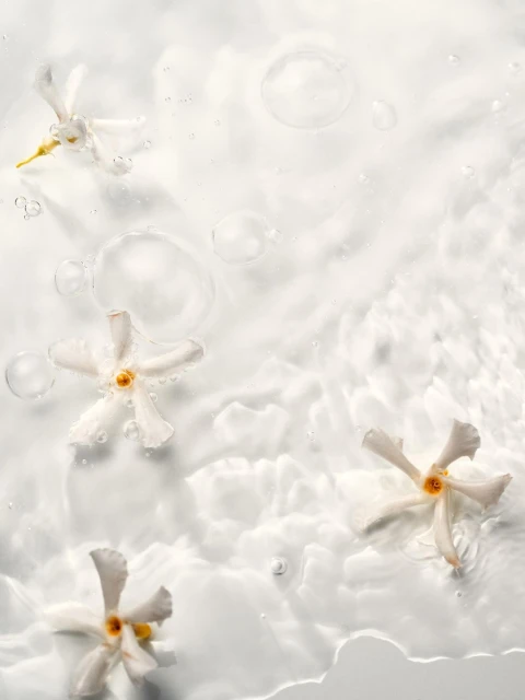 Elegant white flowers in water, creating a serene and minimalist visual. Ideal for beauty, wellness, or floral design content.