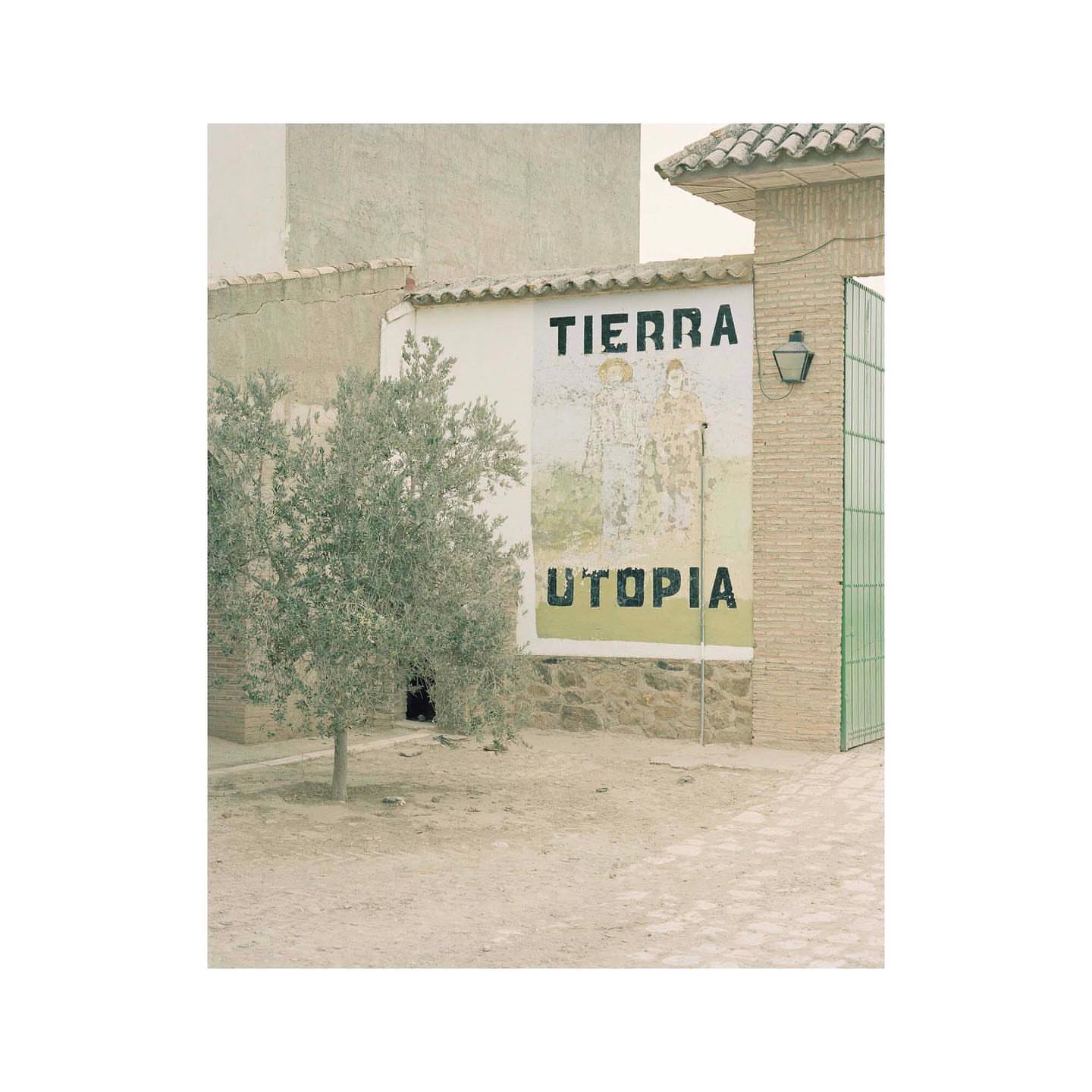 Outdoor shot of a painted sign on a building with the words 'TIERRA UTOPIA', seen behind an olive tree and through an arched gate.