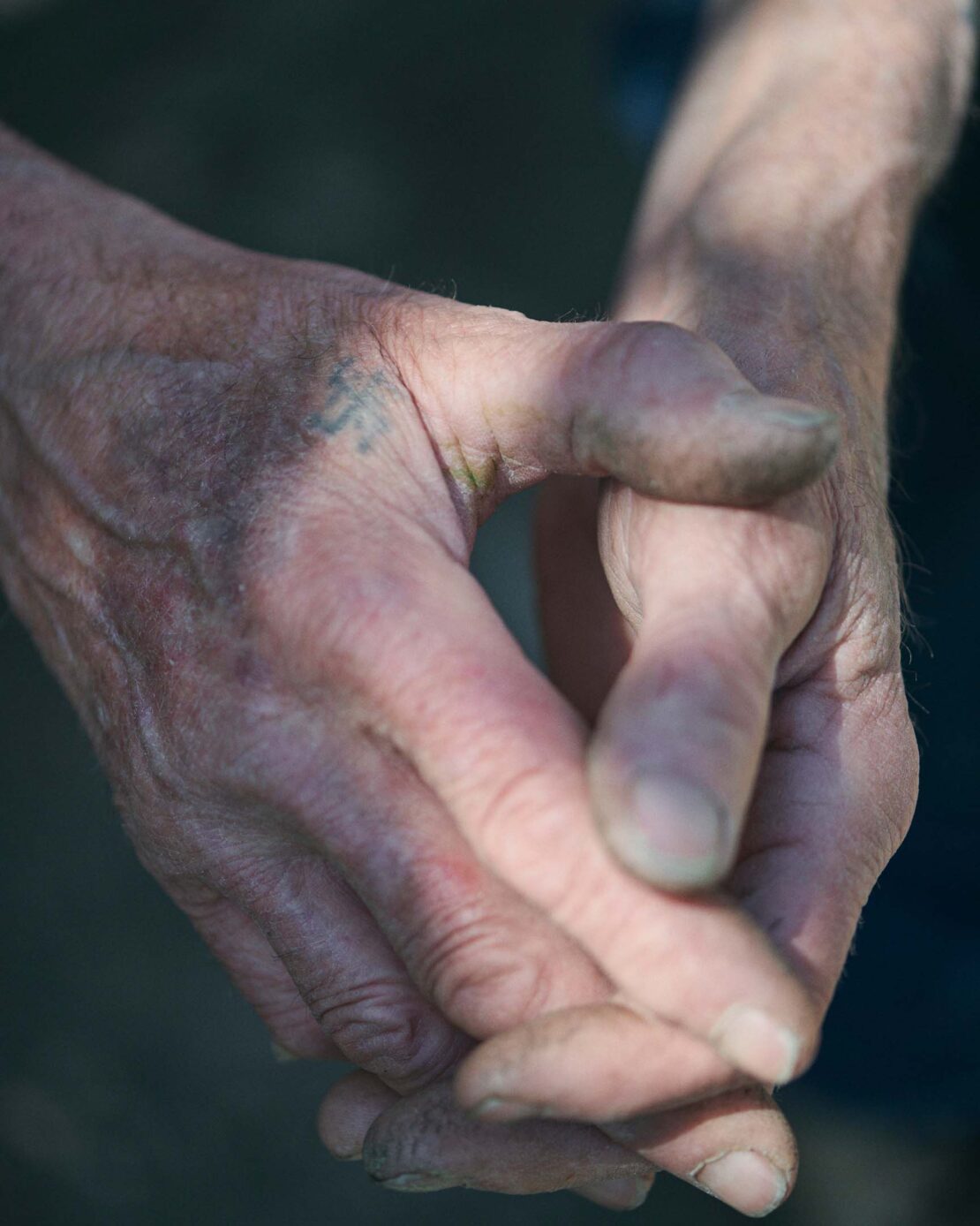Close-up of an adult's weathered hands with visible veins and a faded tattoo on the left hand, illuminated by shadows and natural light.