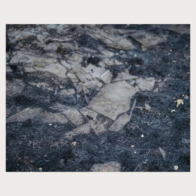 Broken glass shards on a dark, grassy surface create an abstract, textured composition with dominant gray and black hues.