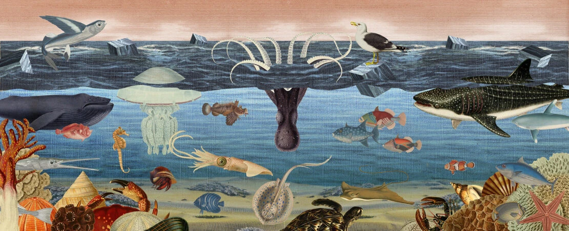 Ocean-themed collage with various marine animals like fish, whale, octopus, crab, and sea turtle, set against a digitally layered ocean backdrop.