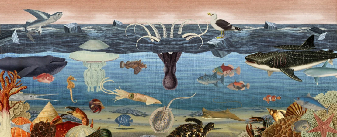 Ocean-themed collage with various marine animals like fish, whale, octopus, crab, and sea turtle, set against a digitally layered ocean backdrop.
