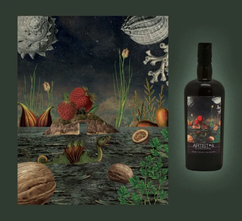 Stylized bottle with fruit and sea creature illustration on a dark green backdrop, blending art and refreshment in a unique still life.