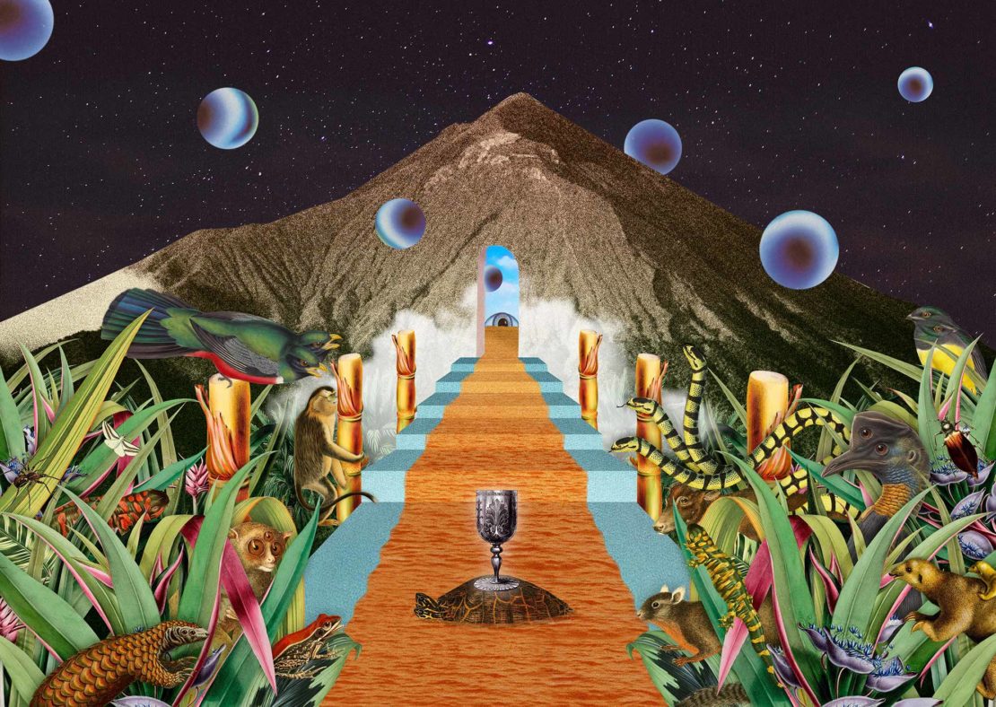 Surreal collage featuring a turtle with a chalice, set against a mountain backdrop and a starry night sky with floating planets.