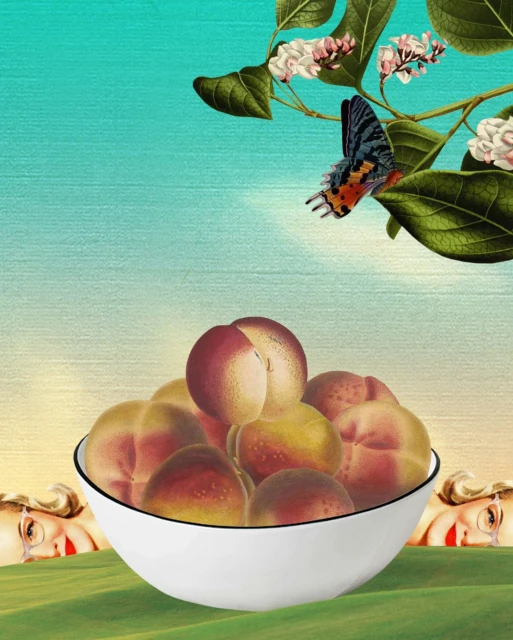 Illustration of a bowl overflowing with peaches, a butterfly, white flowers, and two women with blonde hair and red lipstick on a surreal background.