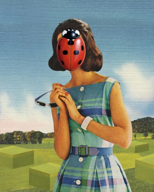Whimsical collage portrait of a woman with a ladybug face, wearing a blue plaid dress in a surreal outdoor scene. 