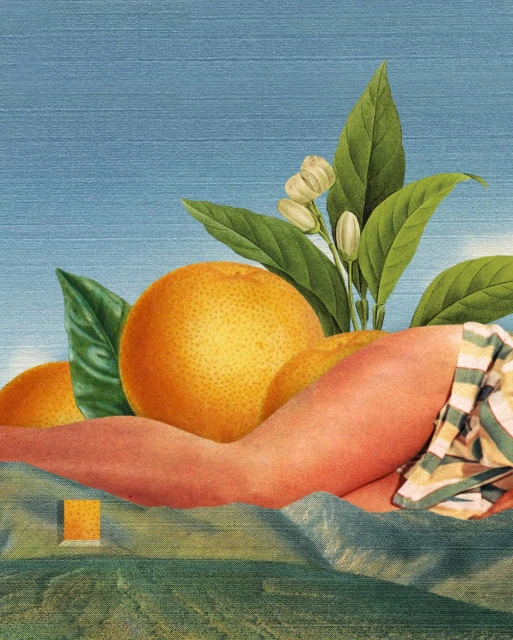 Retro-style collage of oranges, leaves, and flowers with an abstract landscape, creating a surreal and artistic visual narrative.