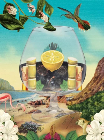 Surreal digital collage by Albane Simon featuring a glass snifter filled with tropical landscape elements and a halved lemon.