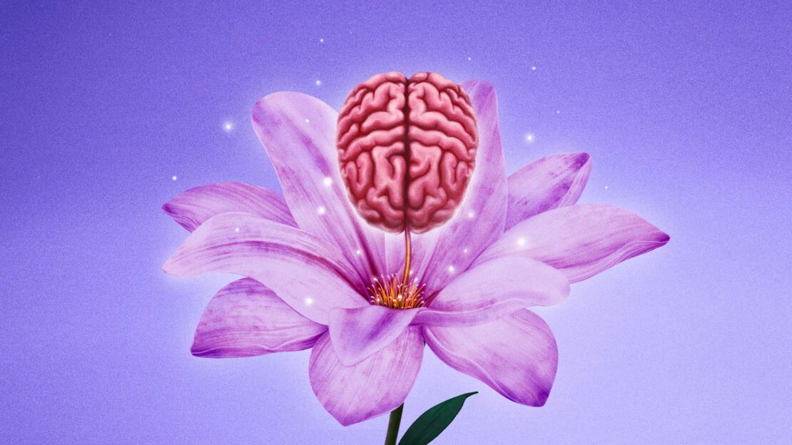 Brain floats above a light purple flower with green leaves, against a light purple background with twinkling lights. Dreamy visual.