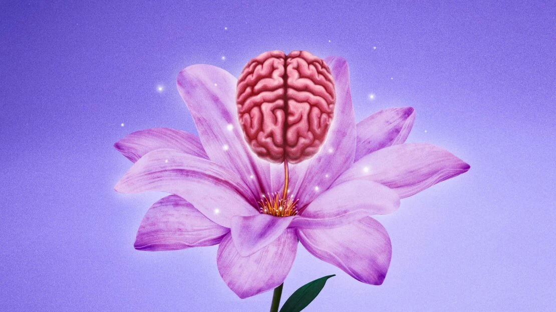 Brain floats above a light purple flower with green leaves, against a light purple background with twinkling lights. Dreamy visual.