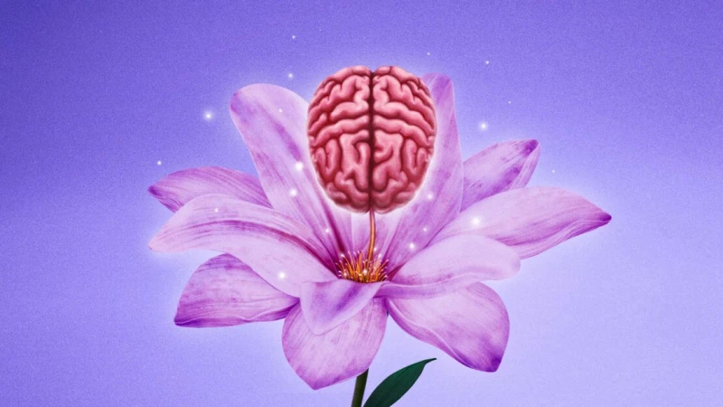 Brain floats above a light purple flower with green leaves, against a light purple background with twinkling lights. Dreamy visual.