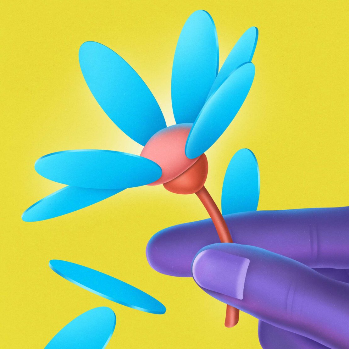 Illustration of a blue and pink flower being held by a purple hand against a yellow background. Digital art style, cartoonish.