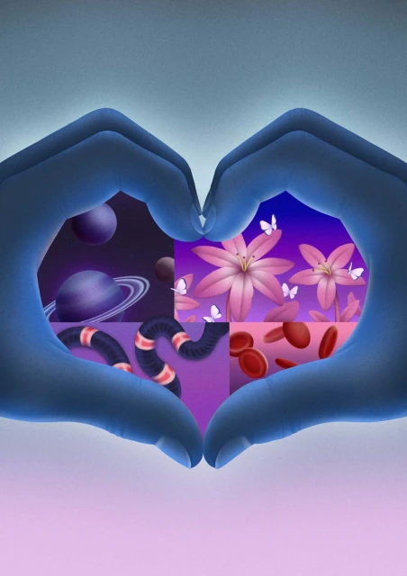 Illustration showing hands forming a heart shape with internal images of planets, snakes, lilies with butterflies, and blood cells.