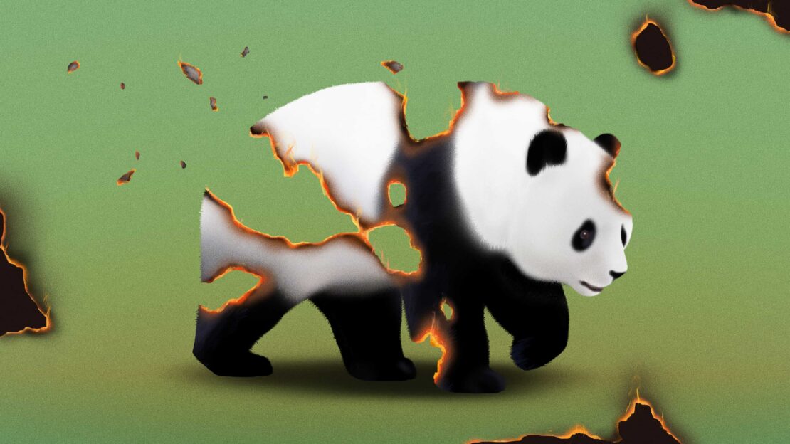 Digital art image of a panda bear with edges that appear burnt against a green background with scattered burnt paper pieces.