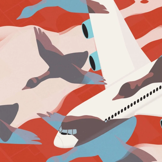 Illustration of flying geese with superimposed airplane tail and engine; red, white, gray, and blue geometric composition.