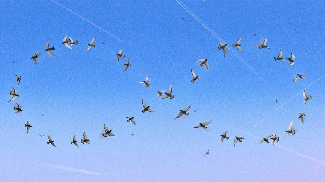 Flock of birds in flight forming an infinity symbol against a clear blue sky with contrails, creating a visually striking composition.