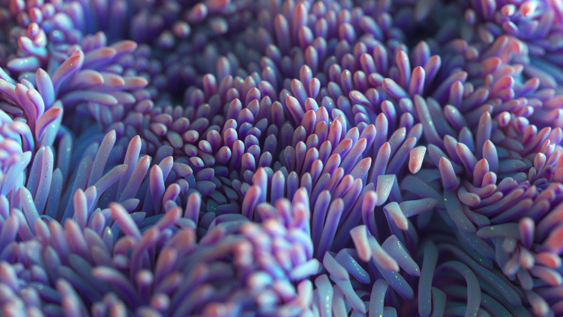 Abstract close-up of purple organic tendrils with pink tips, resembling microscopic organisms or abstract floral elements in soft lighting.