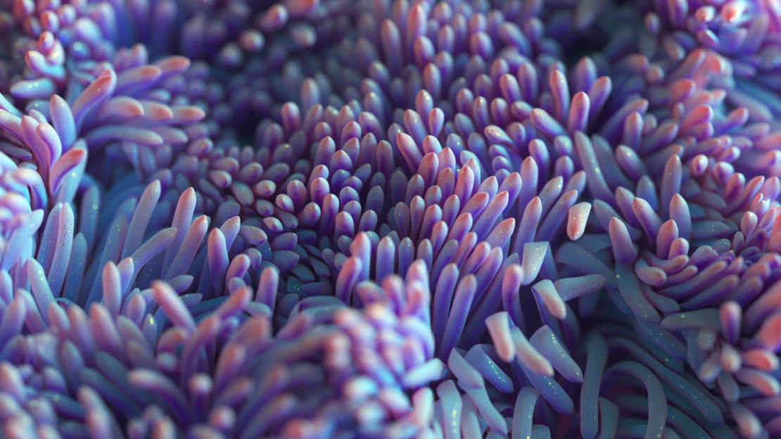 Abstract close-up of purple organic tendrils with pink tips, resembling microscopic organisms or abstract floral elements in soft lighting.
