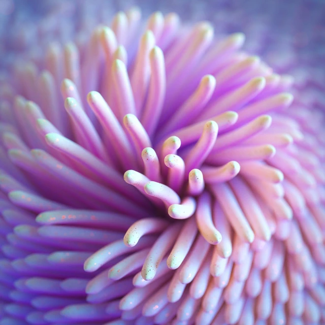 Abstract close-up of a purple and cream textured, rounded, flower-like object. The texture is made of tiny protrusions.