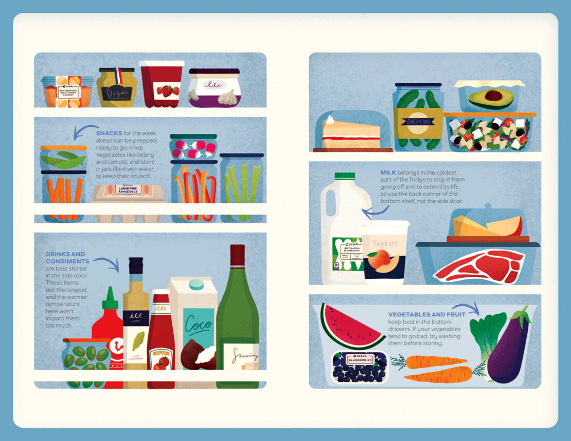 Illustration of a refrigerator interior with various food items on shelves, offering a visual guide to food storage.