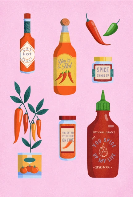 Whimsical digital art illustration featuring various bottles and jars of hot sauce and spices against a pink background. 