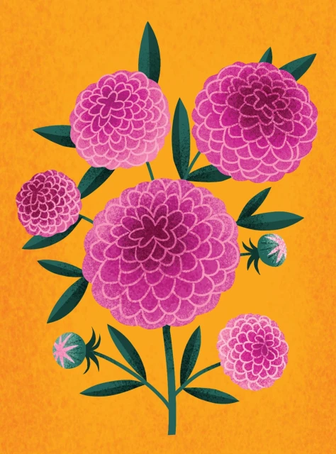 Illustration of purple zinnia flowers with green leaves against an orange textured background; floral design, colourful, botanical art.