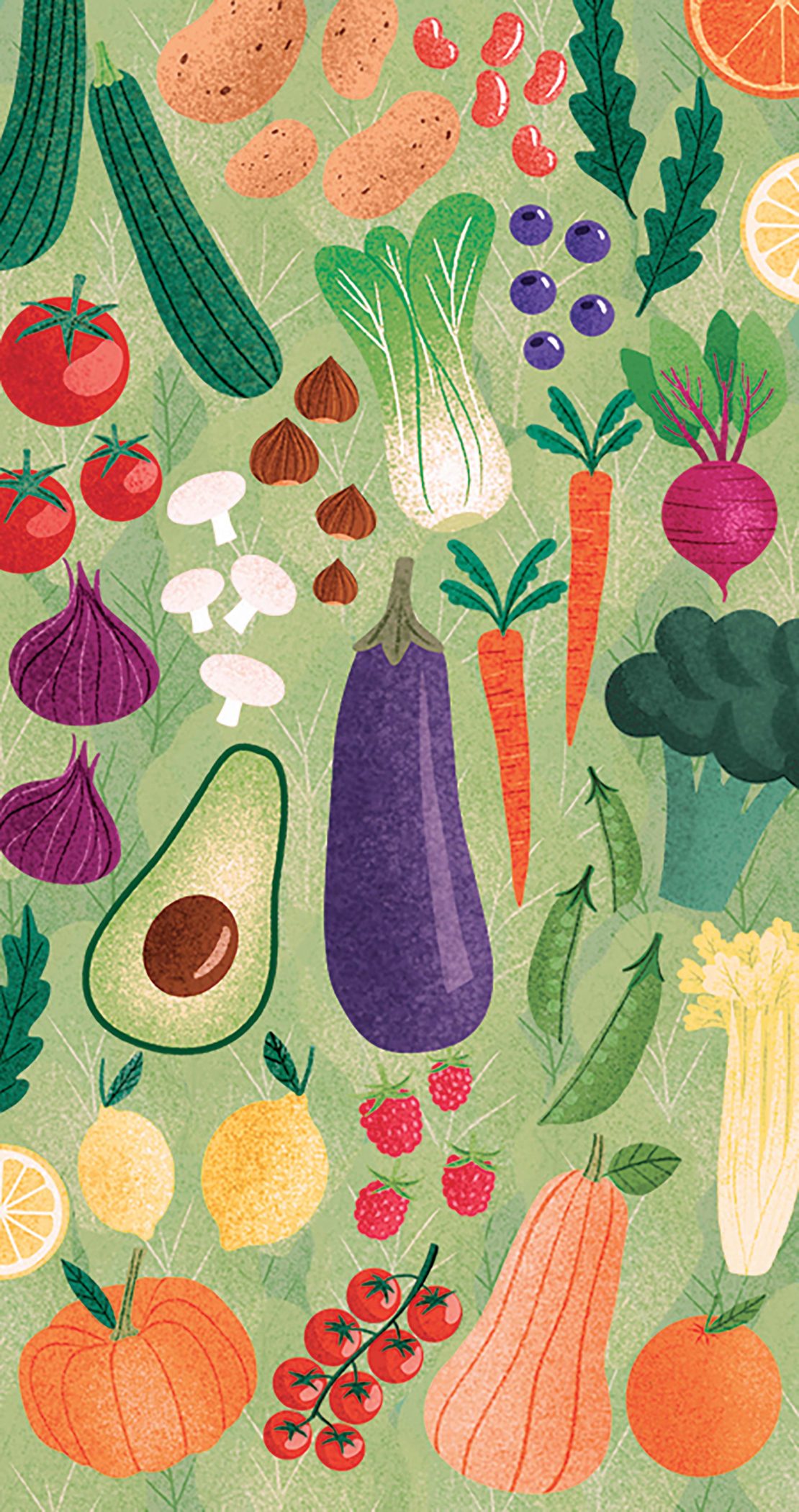 Illustration of a variety of fruits and vegetables including squash, zucchini, tomatoes, mushrooms, carrots, lemons and more on a light green background.