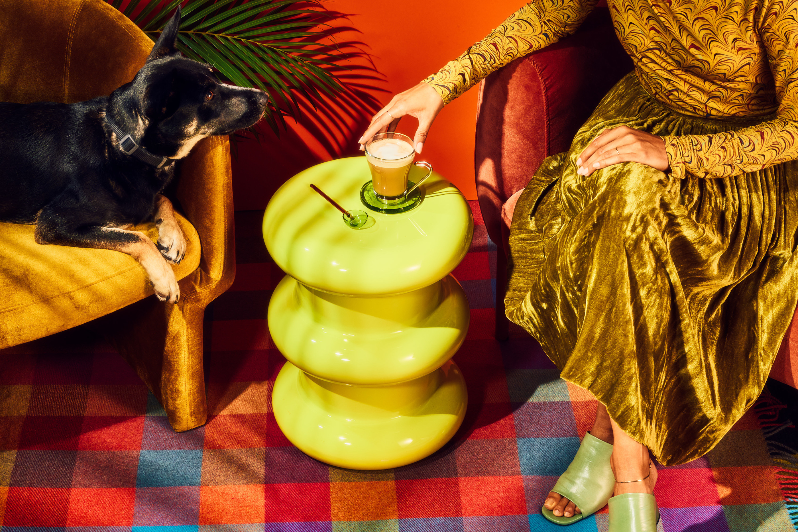 Domestic shorthair dog lounges on yellow armchair while an arm reaches for a drink on a lime-green accent table indoors.