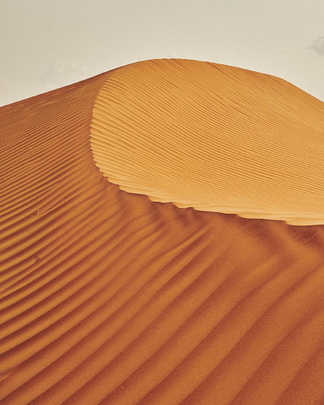 Sand dune landscape in the desert with rippled sand patterns. Natural desert landscape in sandy shades with a clear sky in the background.