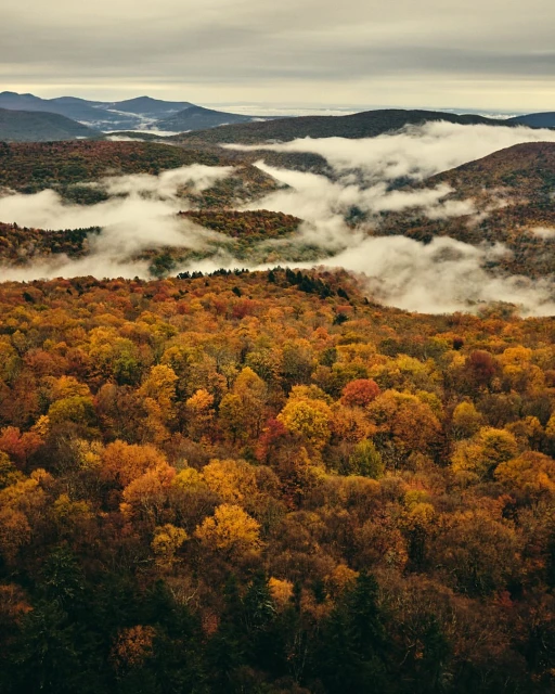 Scenic aerial view of a mountain range covered in autumn foliage and patches of fog under a cloudy sky.