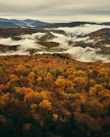 Scenic aerial view of a mountain range covered in autumn foliage and patches of fog under a cloudy sky.