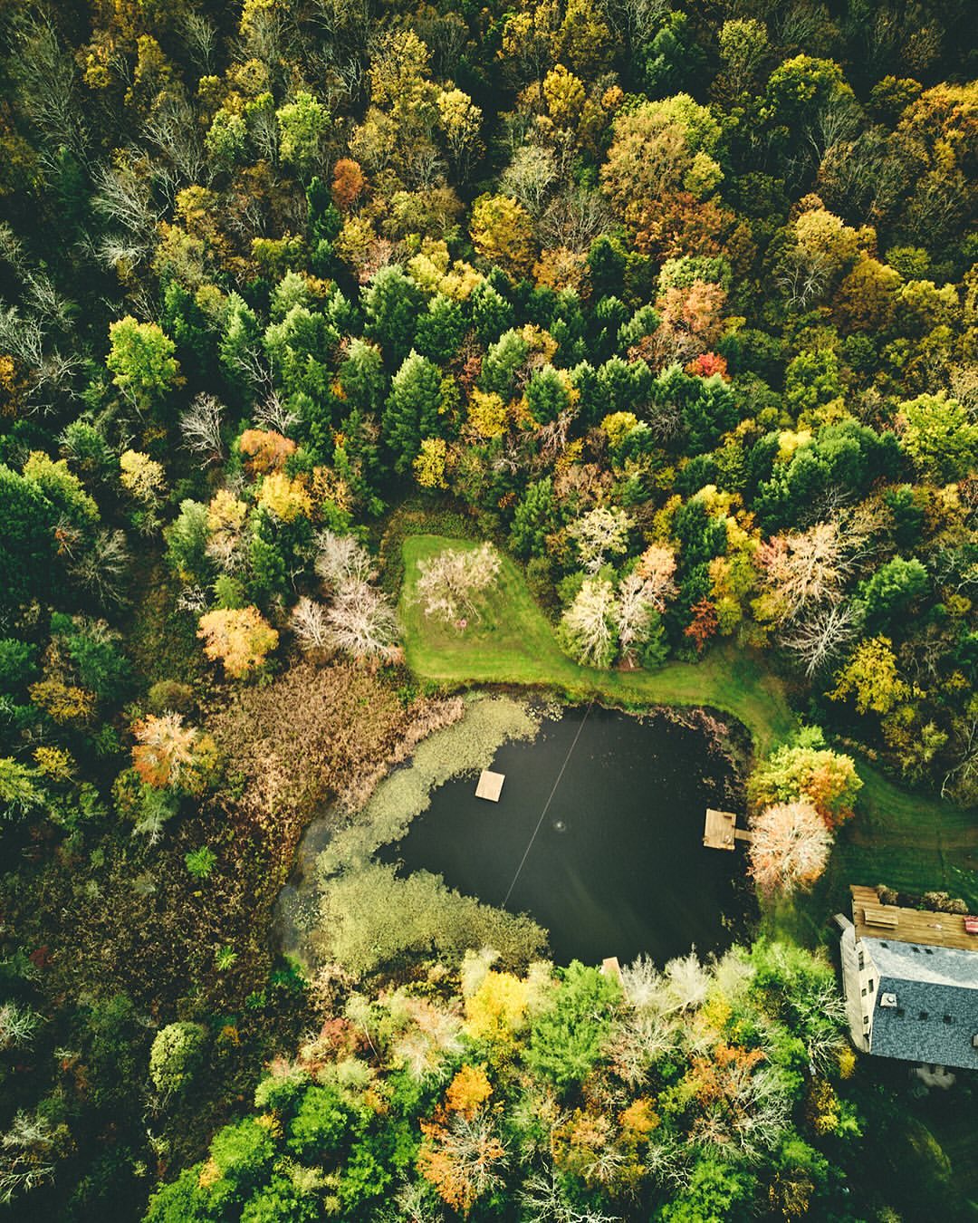 Aerial view of an autumnal forest with green, orange, and yellow trees surrounding a dark pond and a building with a gray roof.