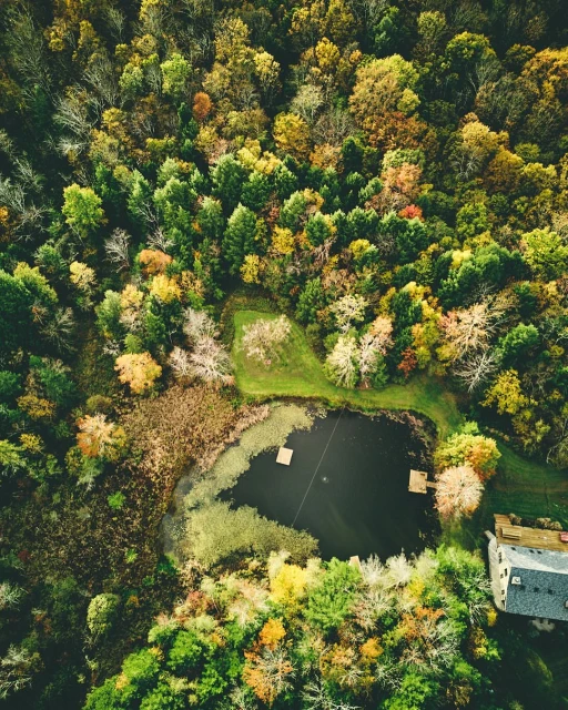 Aerial view of an autumnal forest with green, orange, and yellow trees surrounding a dark pond and a building with a gray roof.